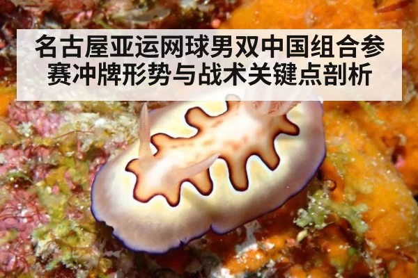 名古屋亚运网球男双中国组合参赛冲牌形势与战术关键点剖析